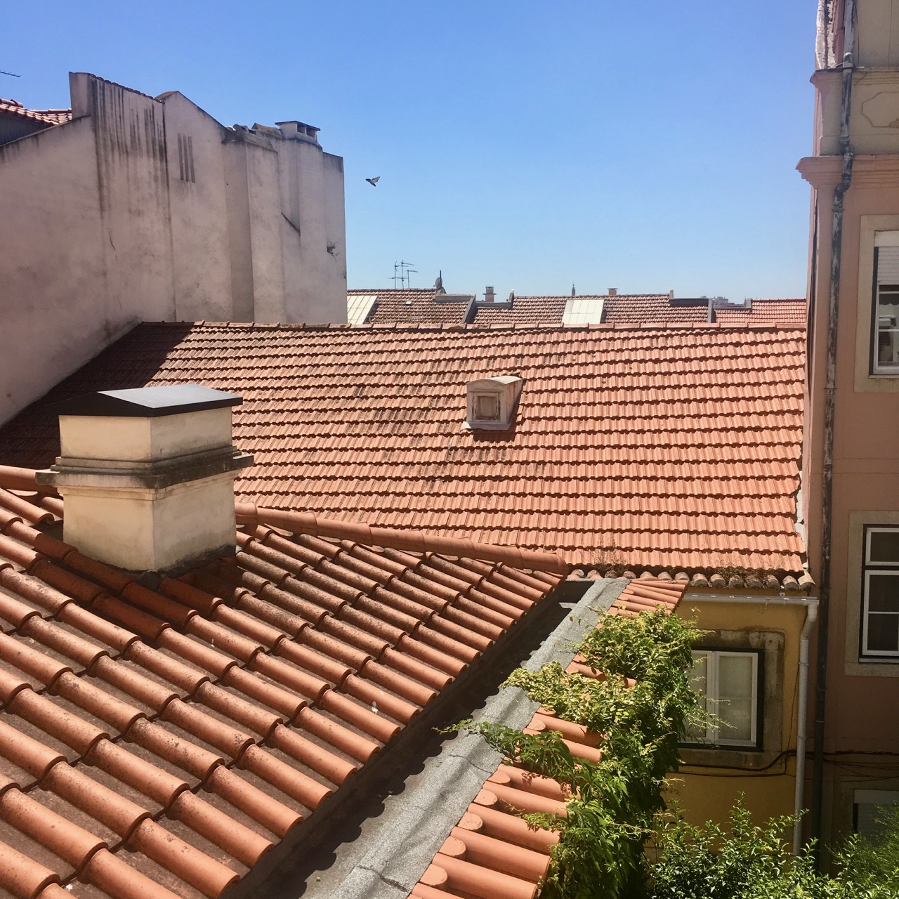 Overlooking the rooftops in Lisbon