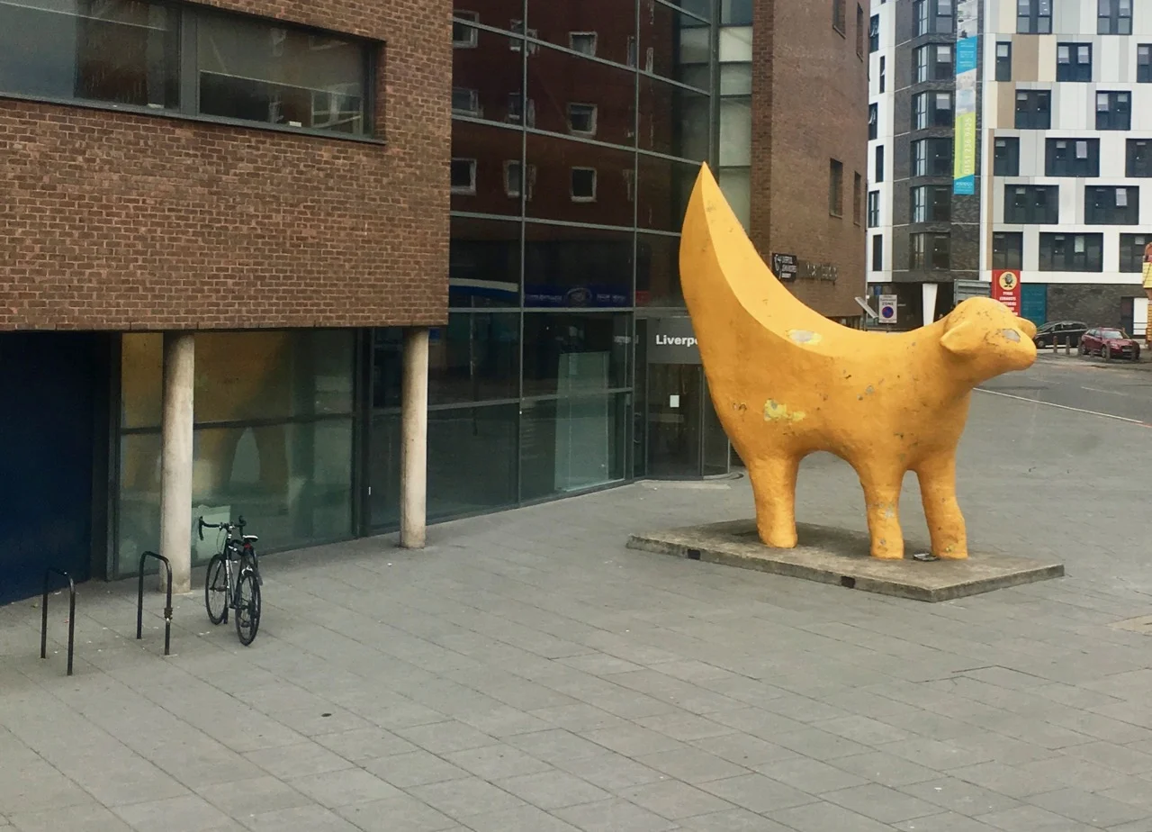 THE LARGEST - BICYCLE LEFT IN FOR SCALE