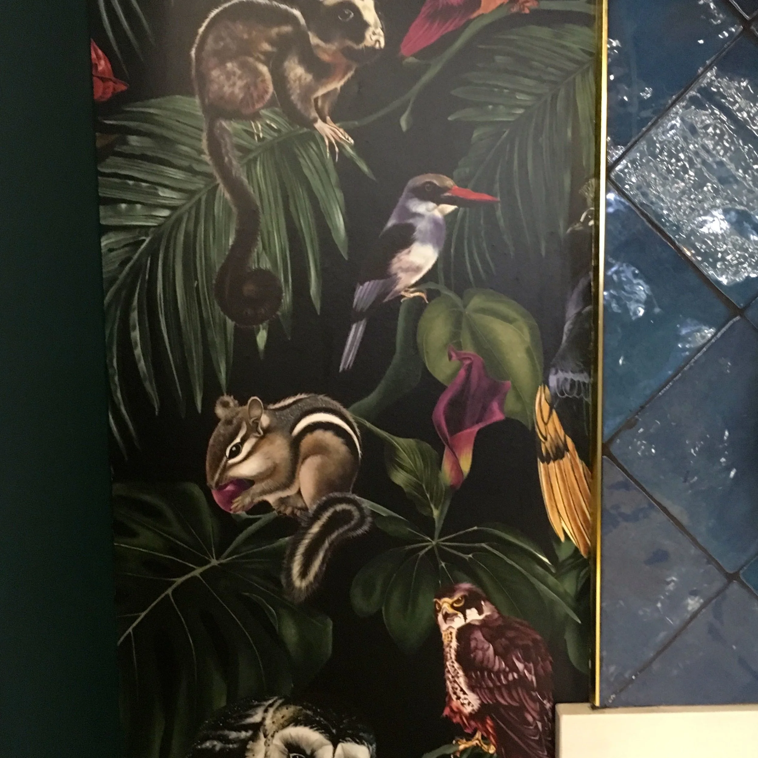 a close up of the wallpaper