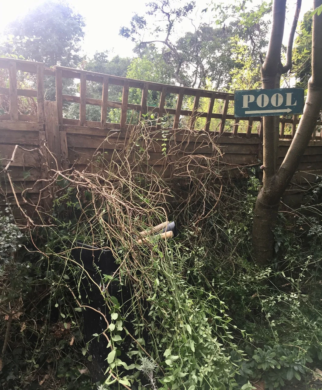 work in progress in the garden