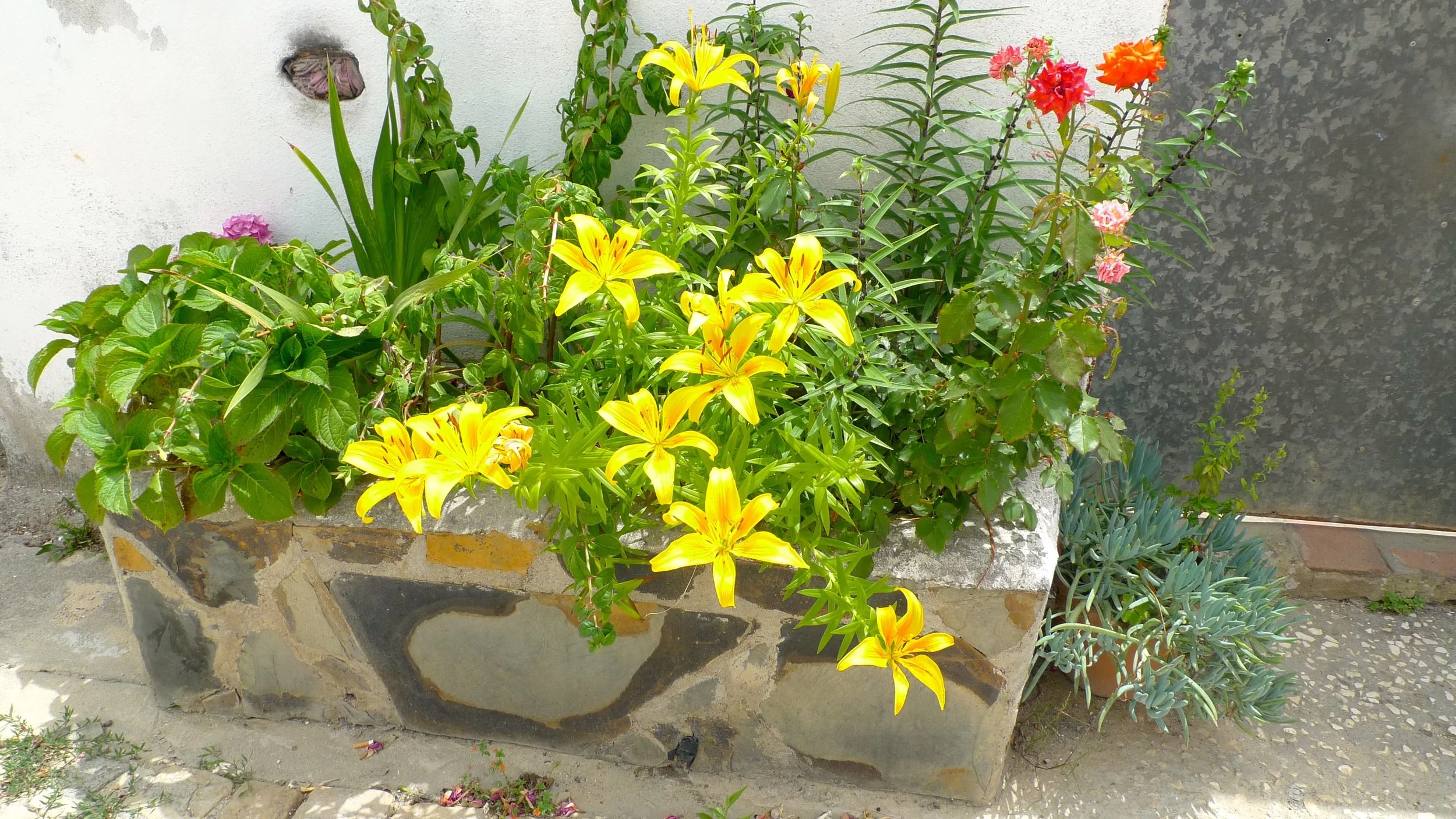 A stone planter complete with brightly coloured flowers