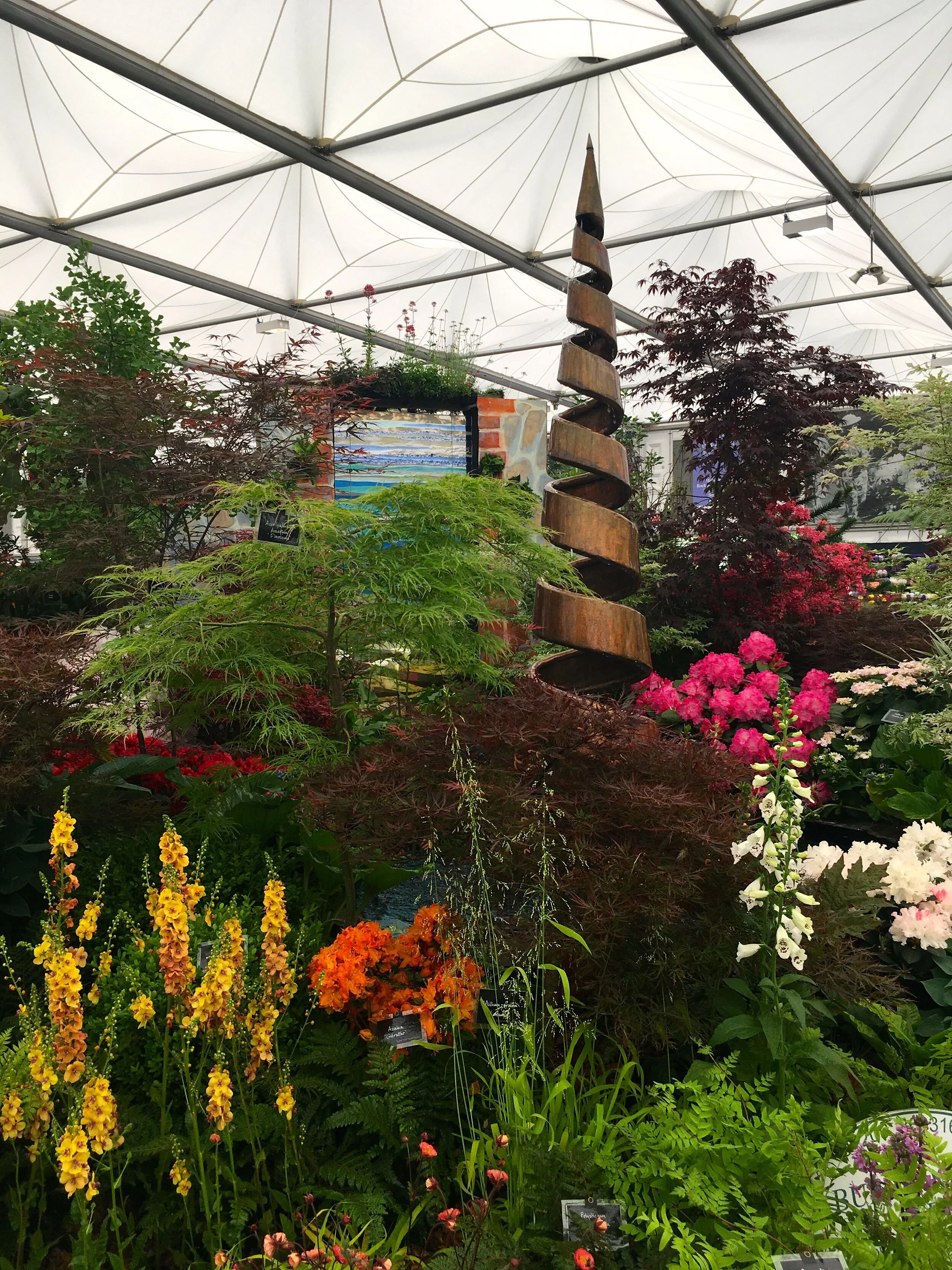 a copper spiral adding height and echoing the spiky flowers