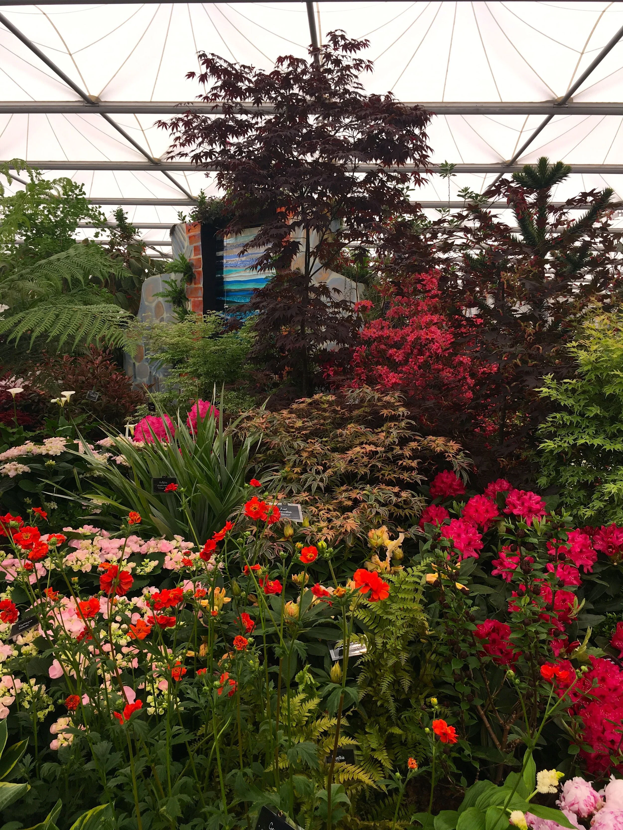 reds, pinks and oranges combining in this display