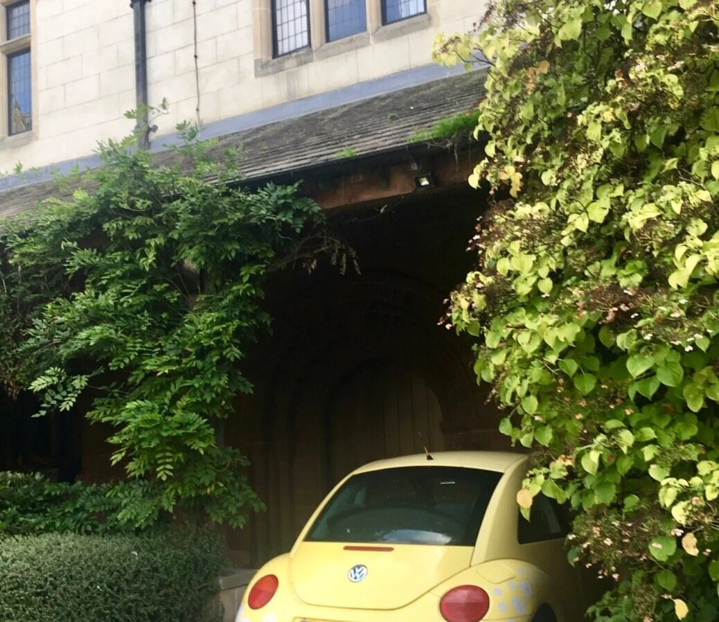 And+something+not+quite+expected%2C+A+VW+beetle+nestled+amongst+the+yew+and+wisteria