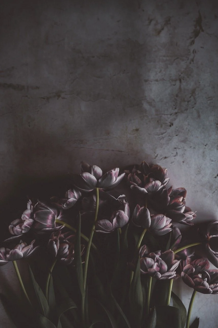Photo by Annie Spratt on Unsplash