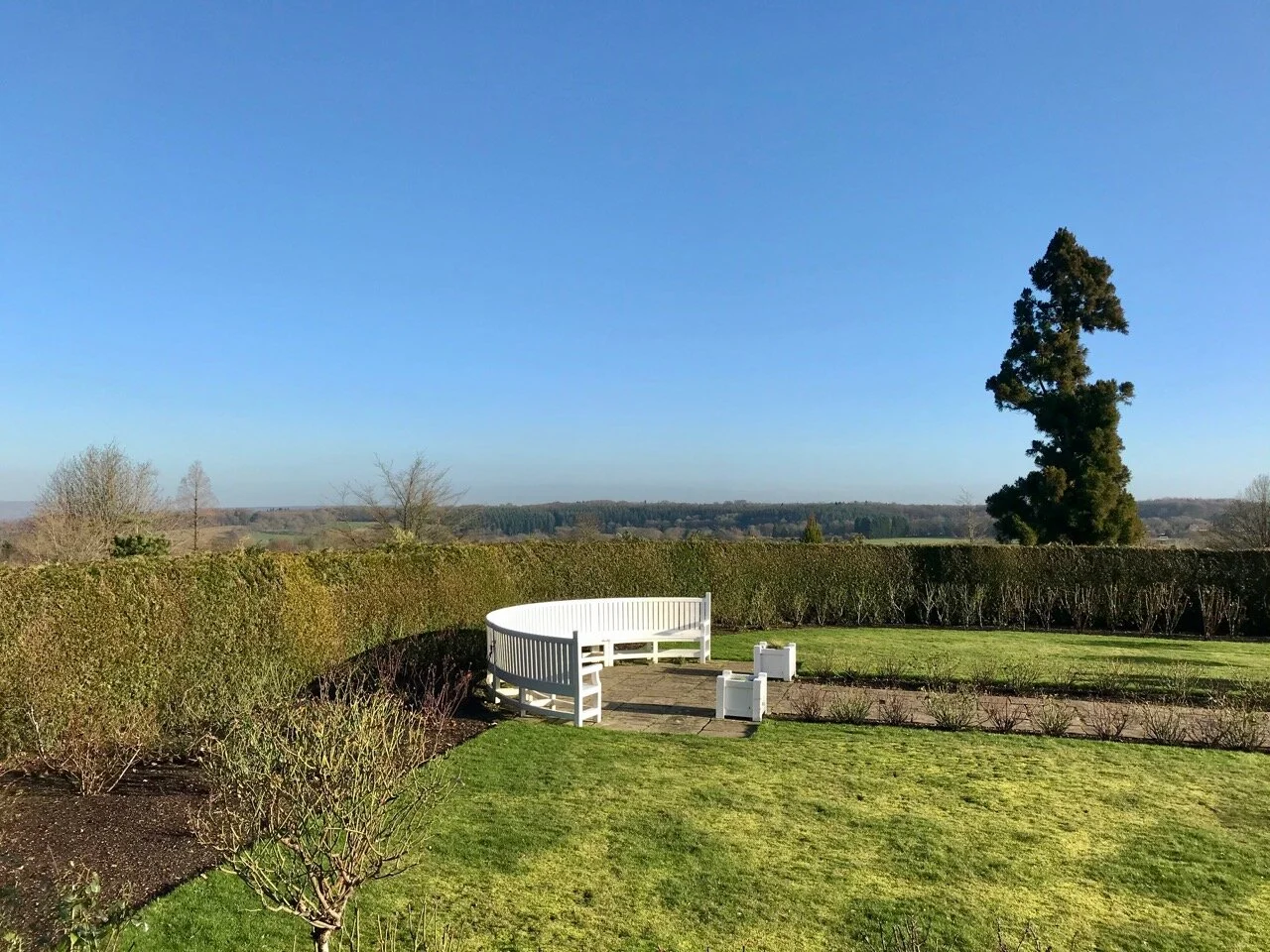 BLUE SKIES OVER THE ROSE GARDEN