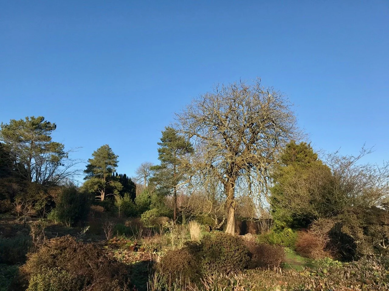 HEADING BACK TOWARDS THE SOUTH GARDEN