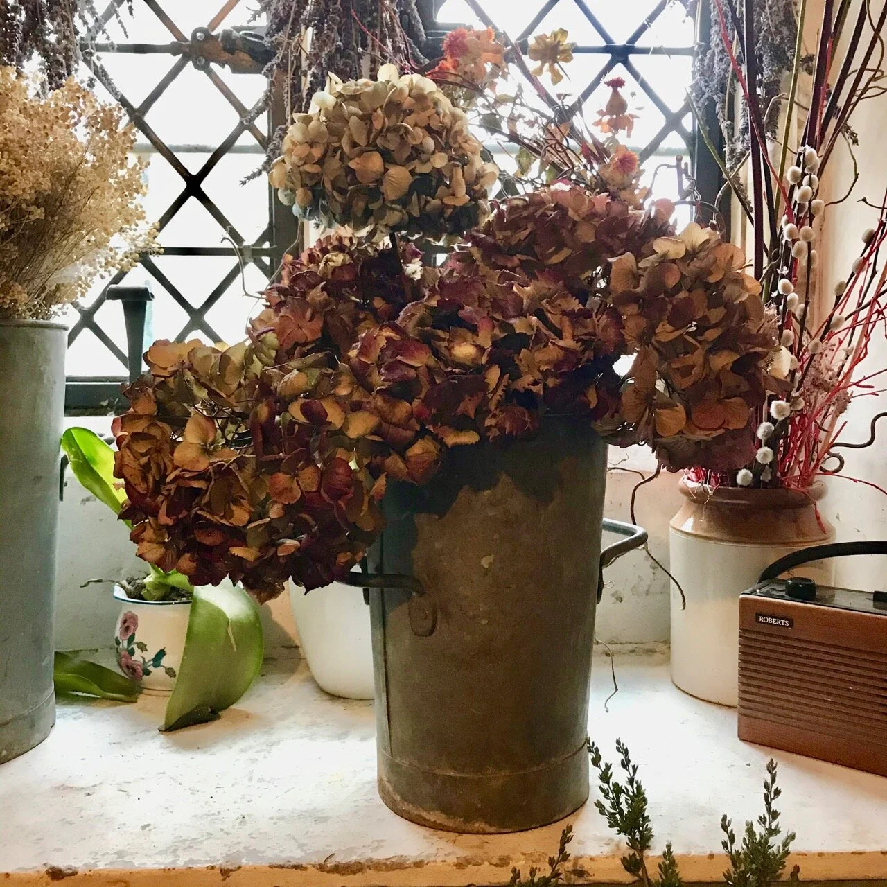 hydrangeas on the shelf