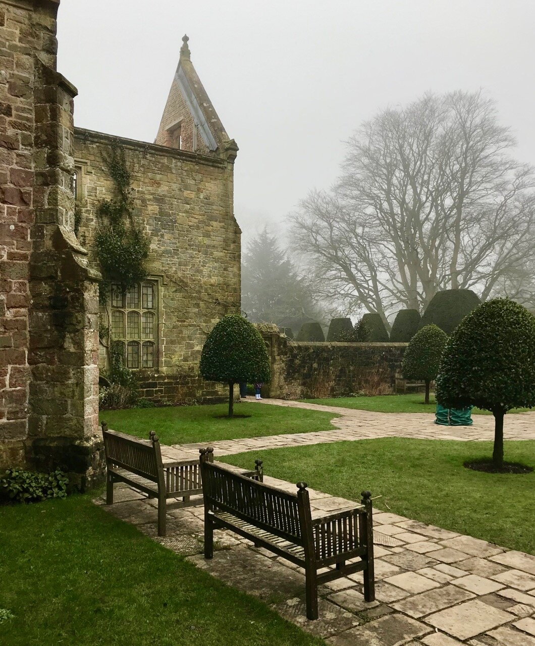 the gable in the fog with benches and topiary