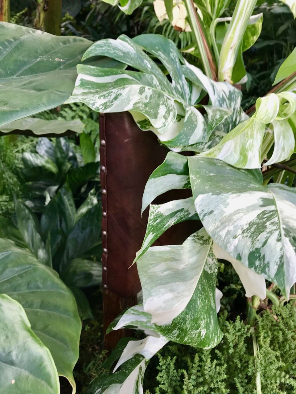 There's a chair in there somewhere