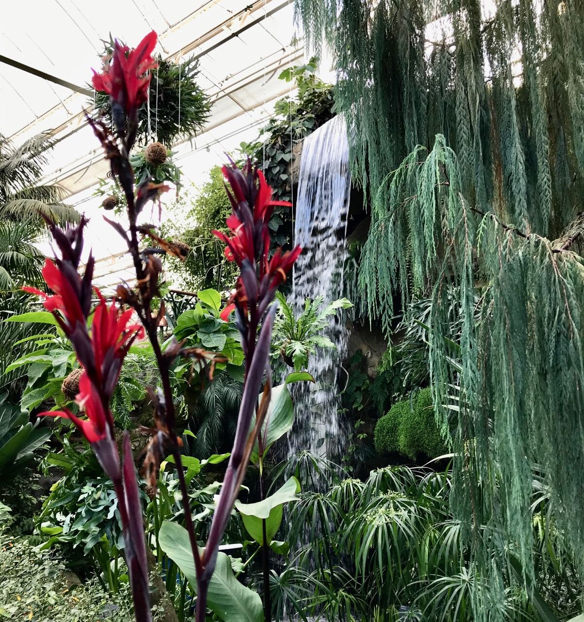 another view of the water cascading with bird of paradise-like plants in the foreground