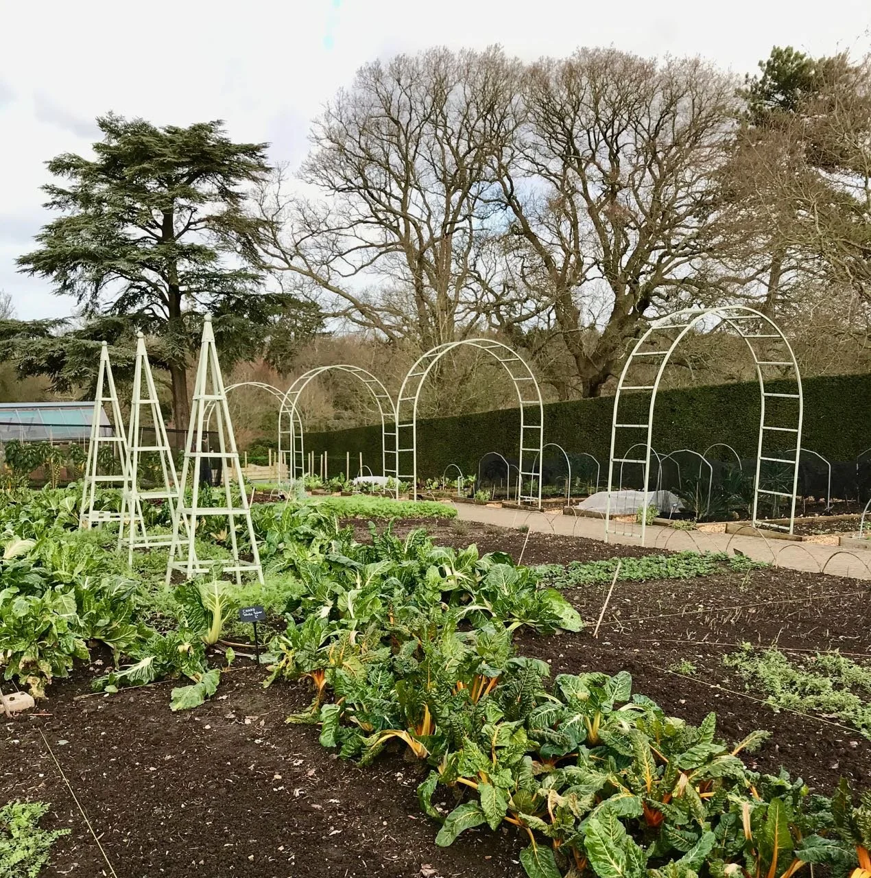 obelisks and arches ready for plants to clamber up and over