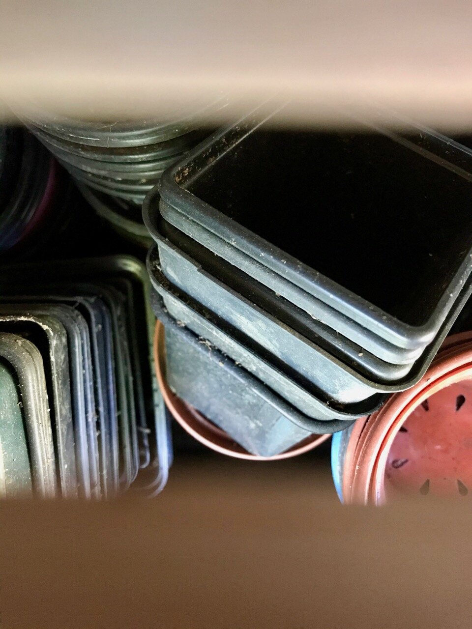 plant pots in the greenhouse