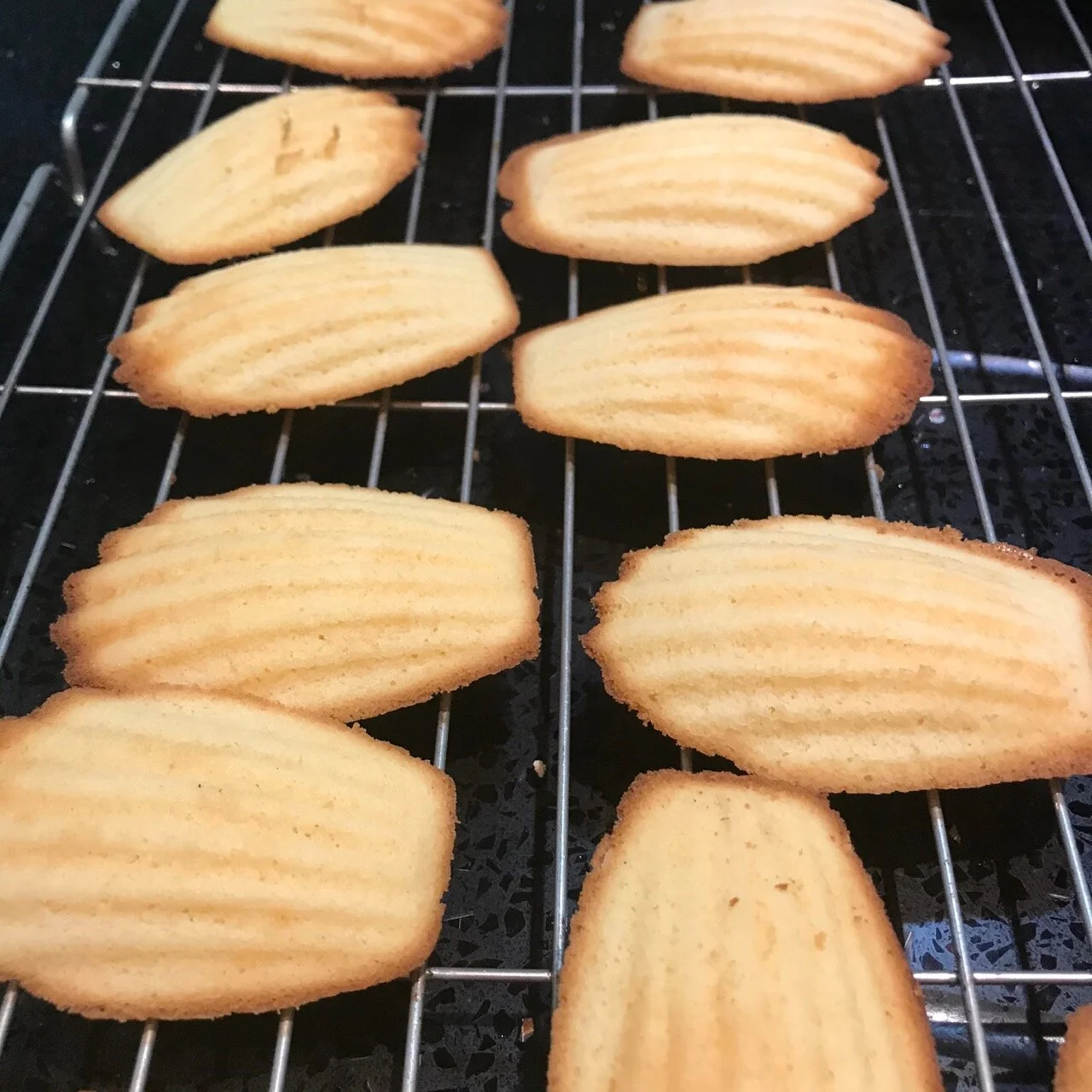 lemon madeleines