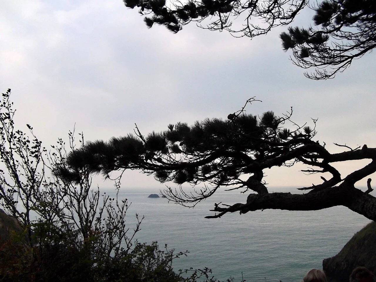 scenic views of Devon's coastline