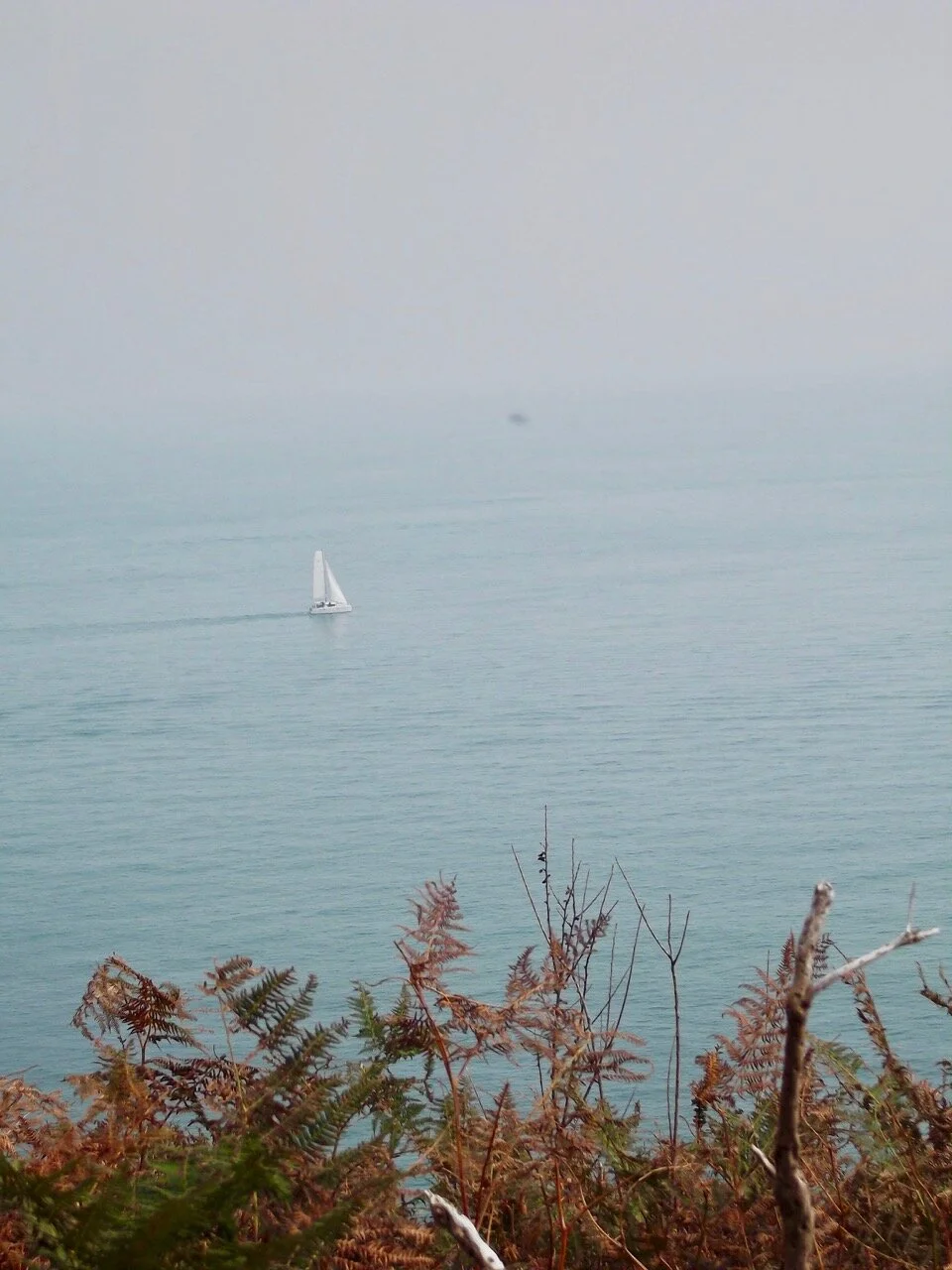 getting braver and peeking further to the edge