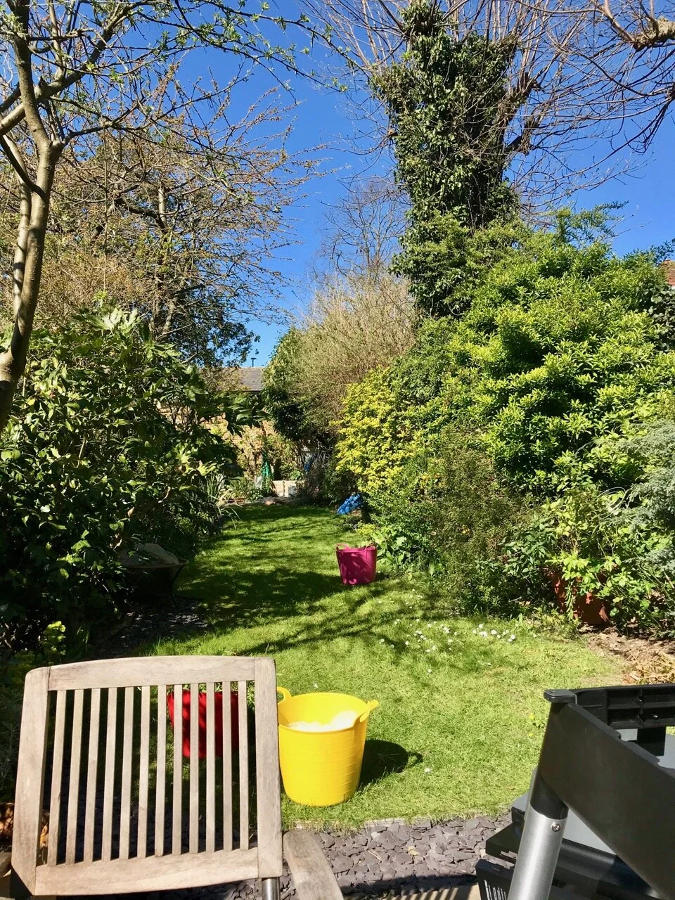 Blue skies  a new BBQ and gardening in earnest