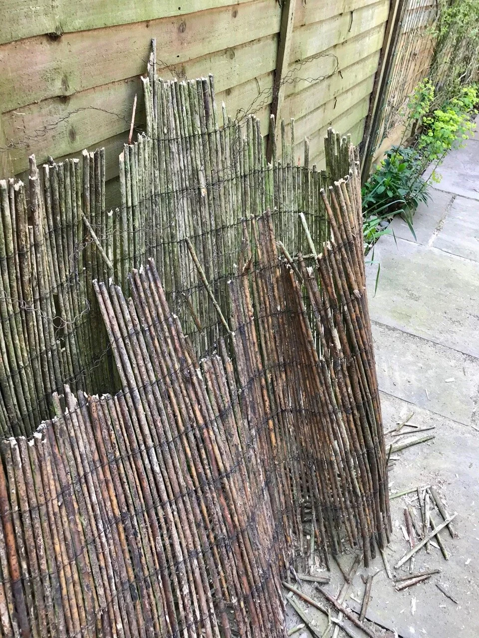 replacing the willow screening