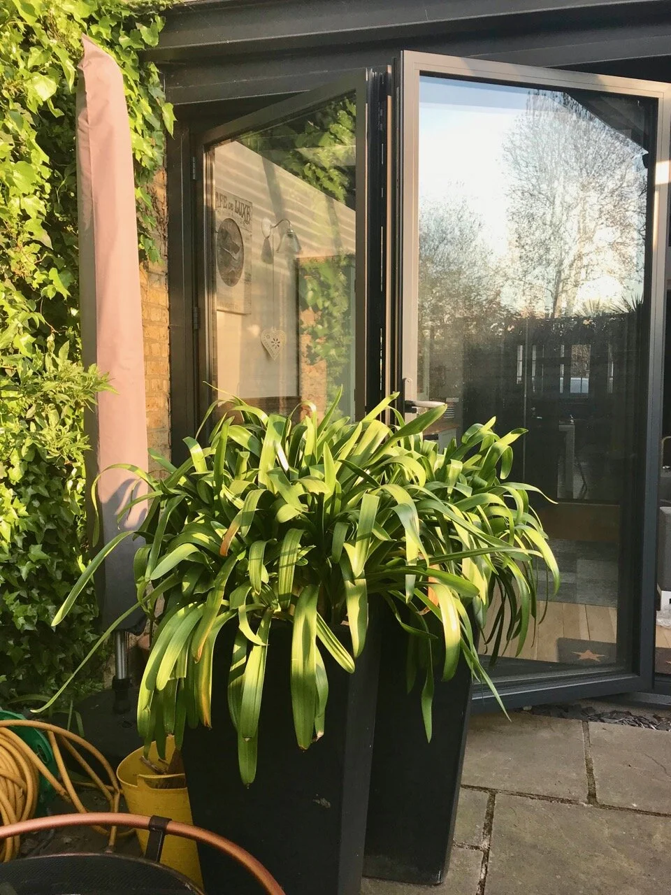 reflections in the doors