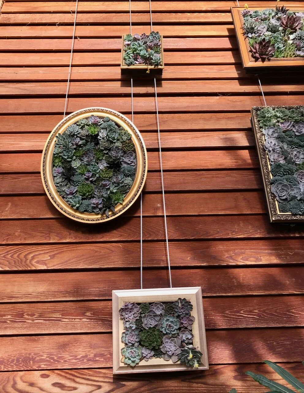 all shapes of frames