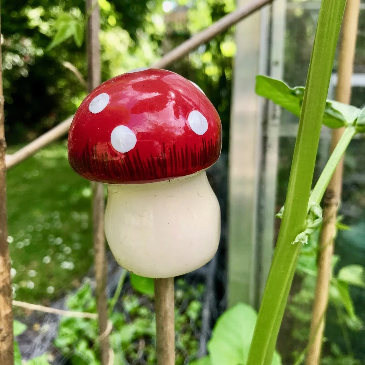 ceramic toadstool cane toppers