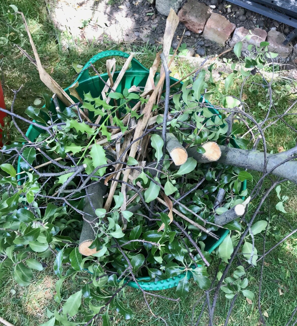 chopping down overhanging branches