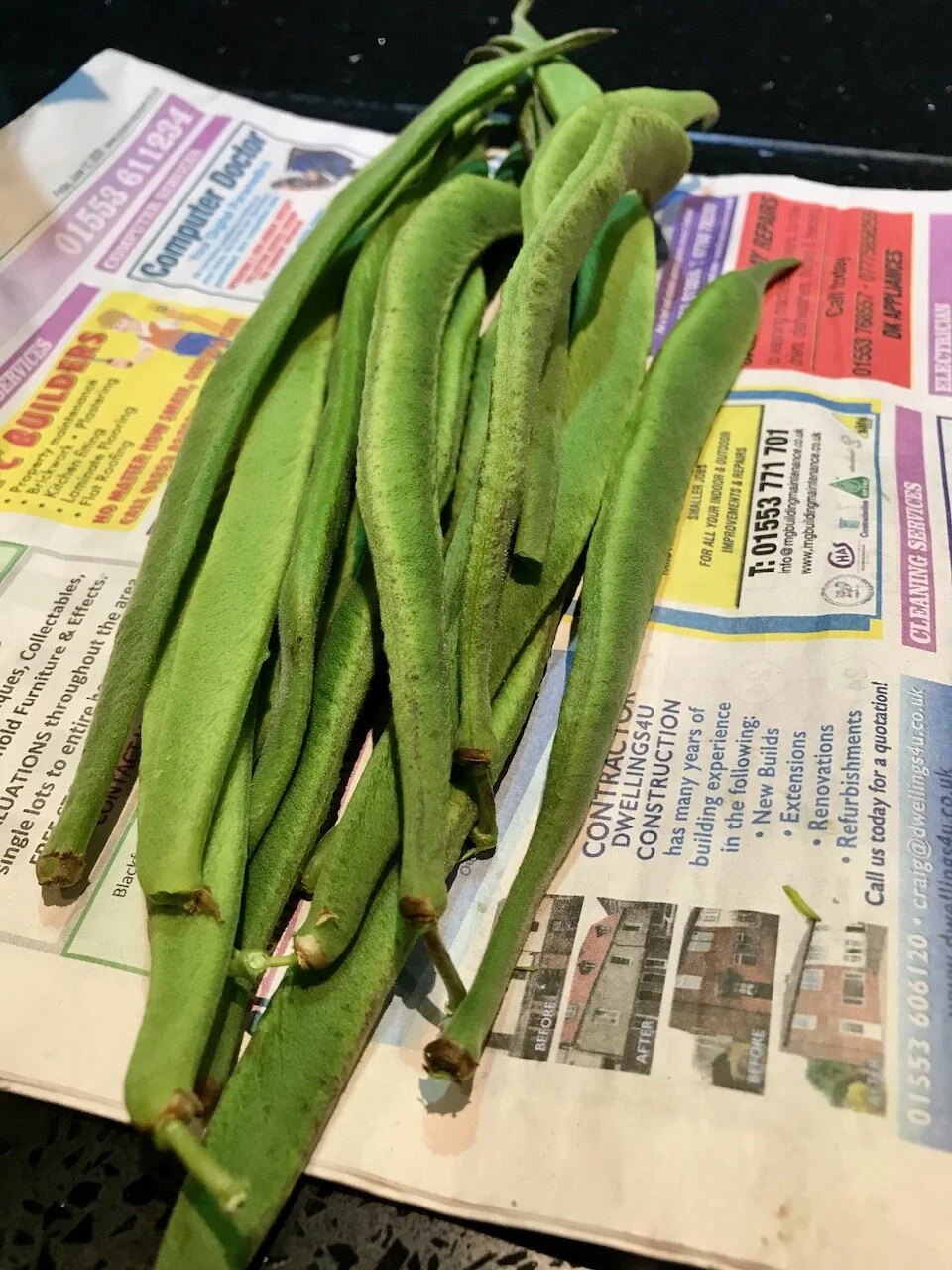 dad's runner beans