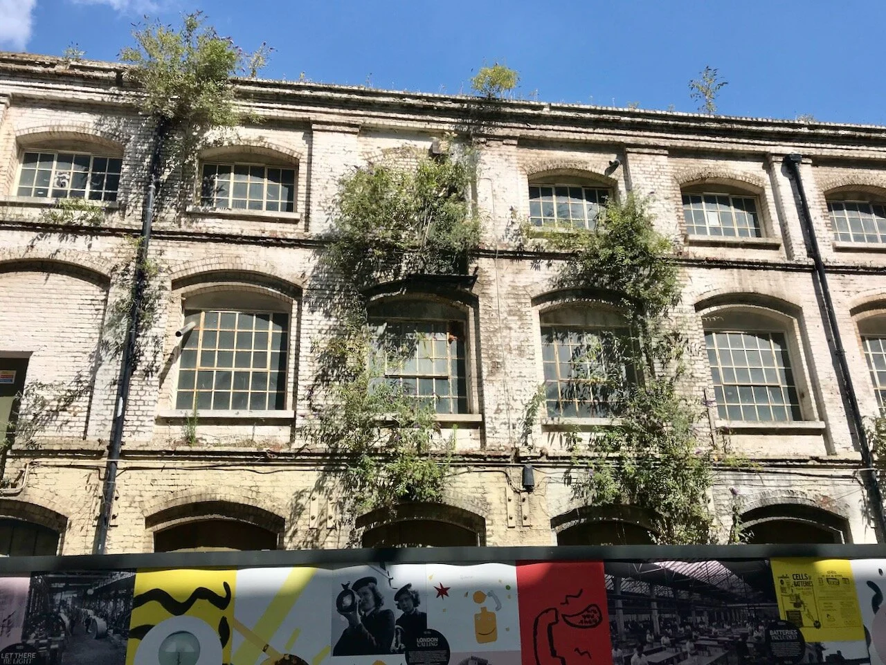 No garden but plenty of greenery growing from the facade
