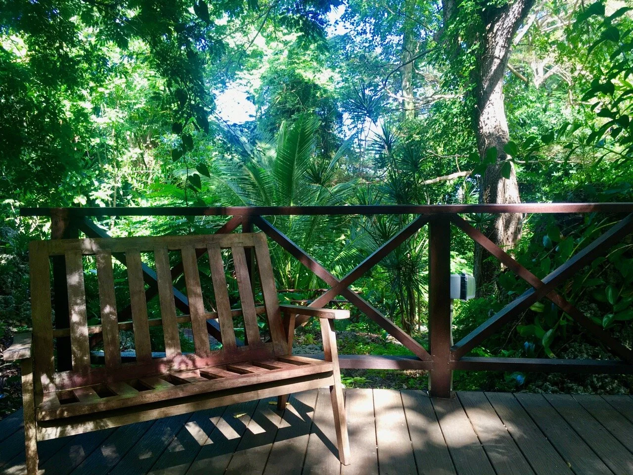 a spot to sit and enjoy