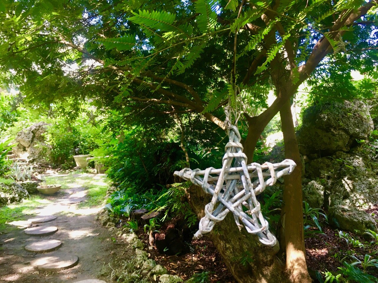 stars hanging from the branches