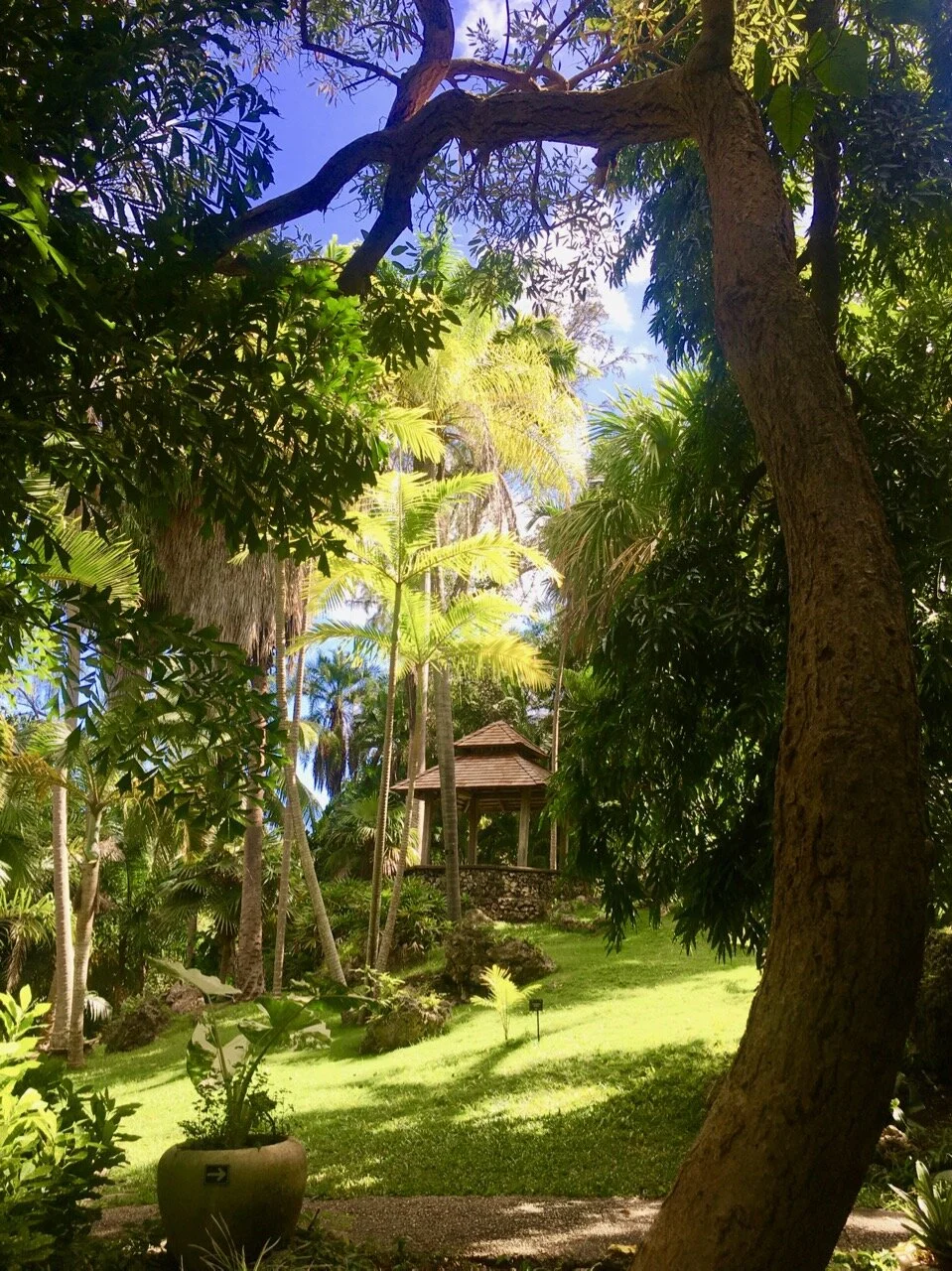 A view to be mesmerised by