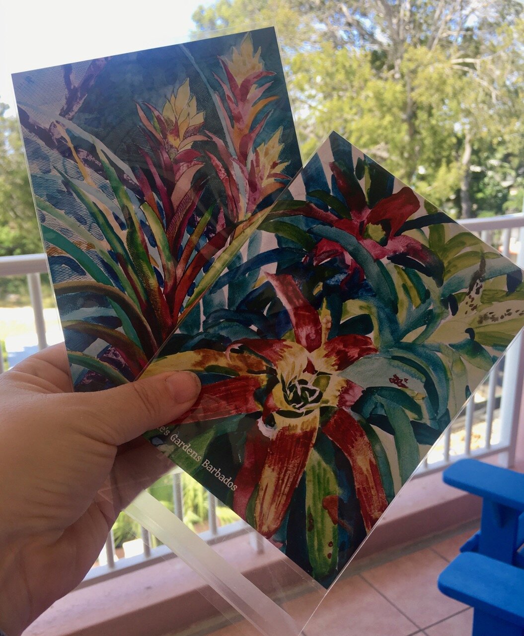 leaving with a purchase of two brightly coloured cards