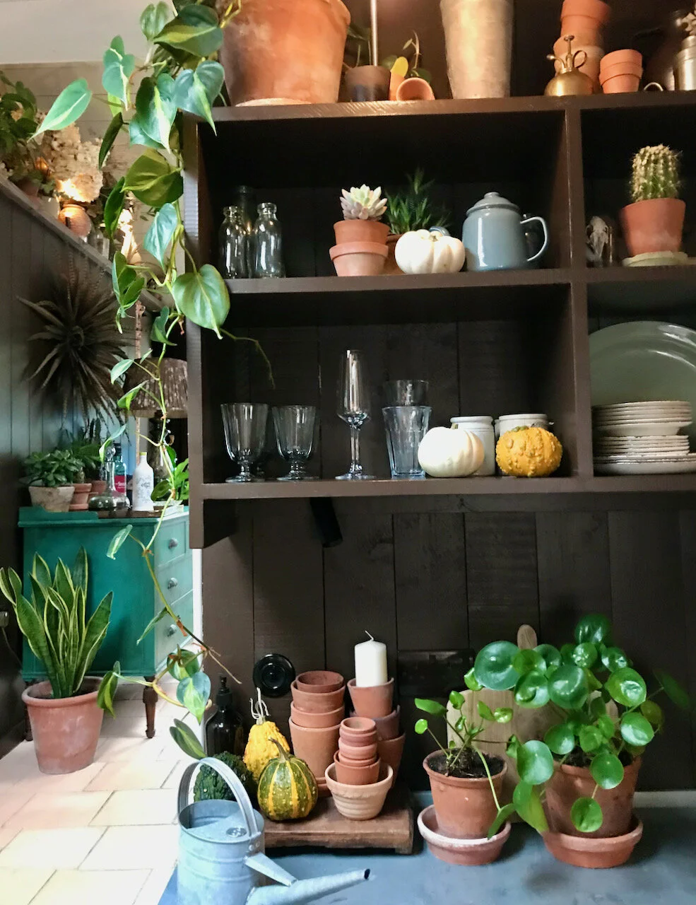 open shelves galore