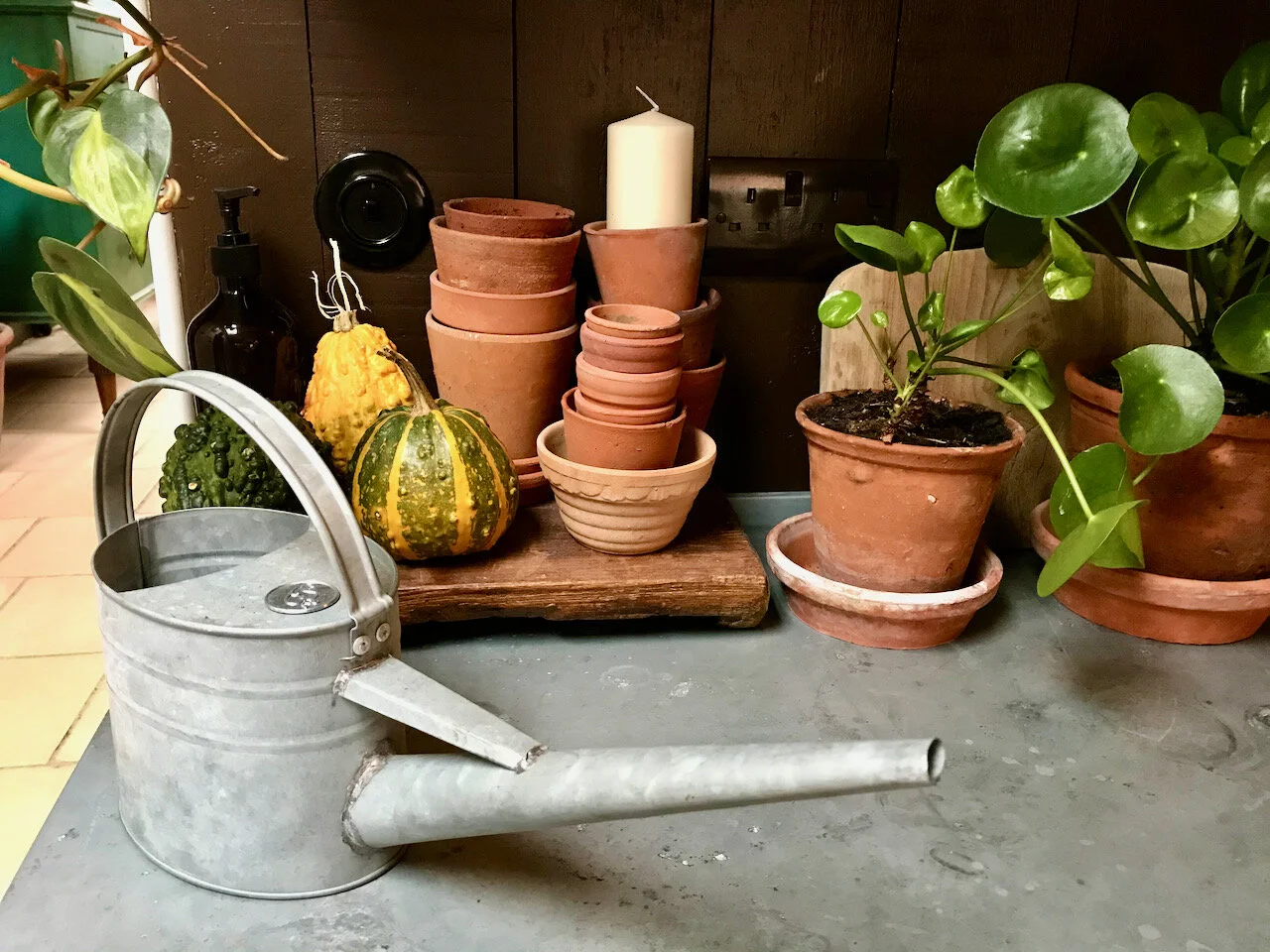 pots pumpkins and a watering can