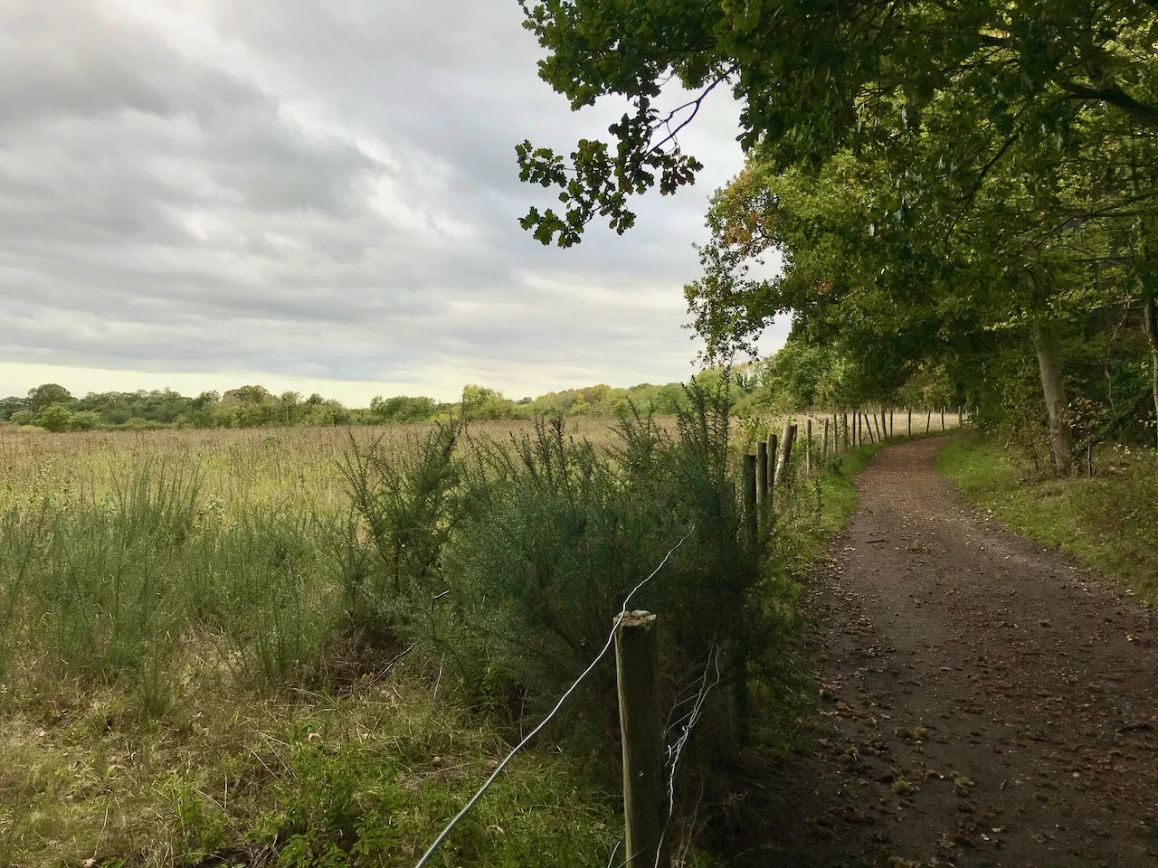 open countryside and a path alongside