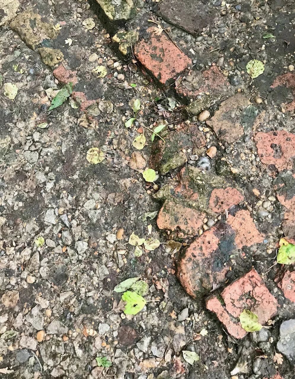 bricks in the path