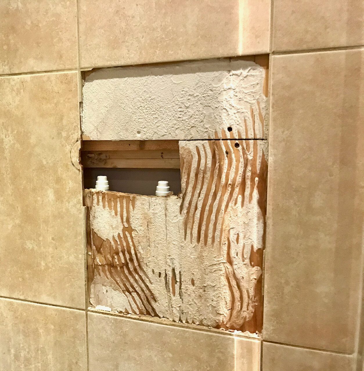 a hole where the shower used to be.jpeg