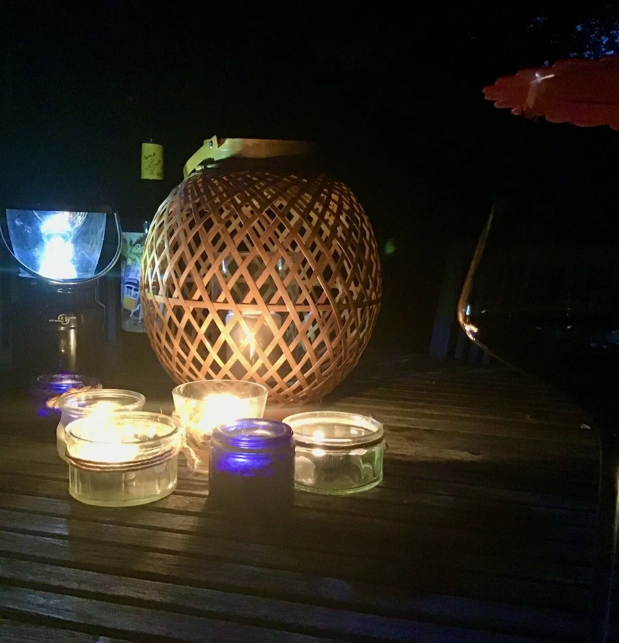 enjoying evenings in the garden.jpeg