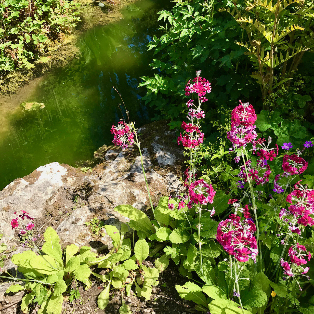 IMG_5057.jpeg