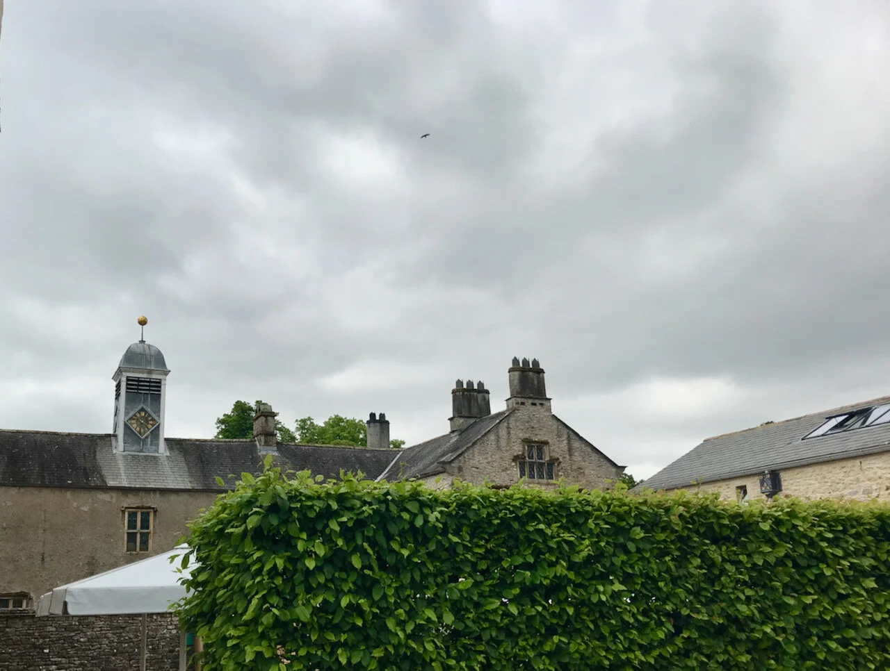 IMG_4924.jpeg