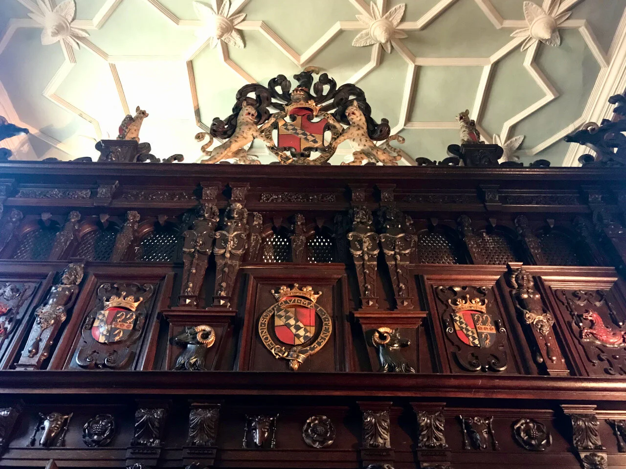 IMG_5807.jpeg