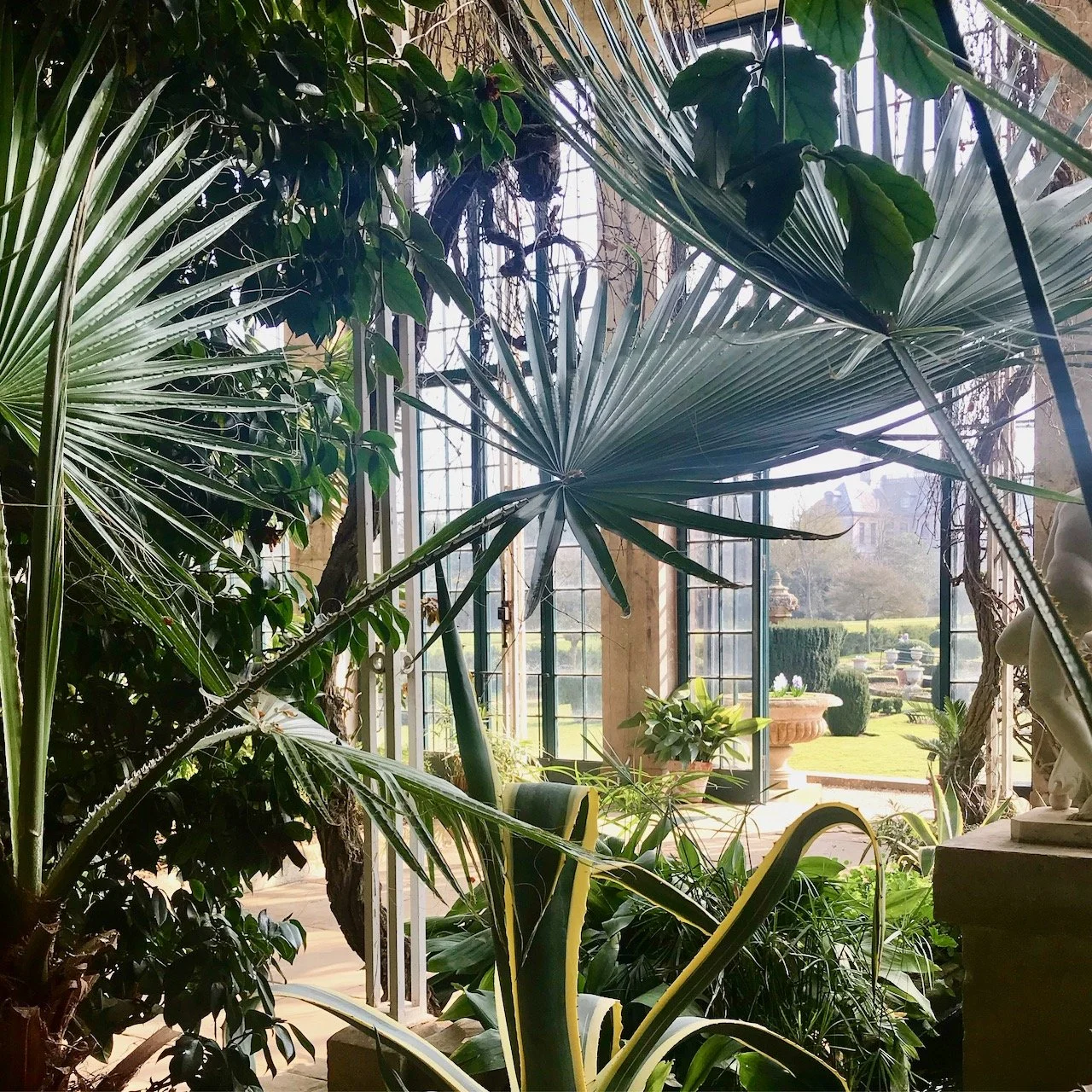 In the Orangery at Belton House