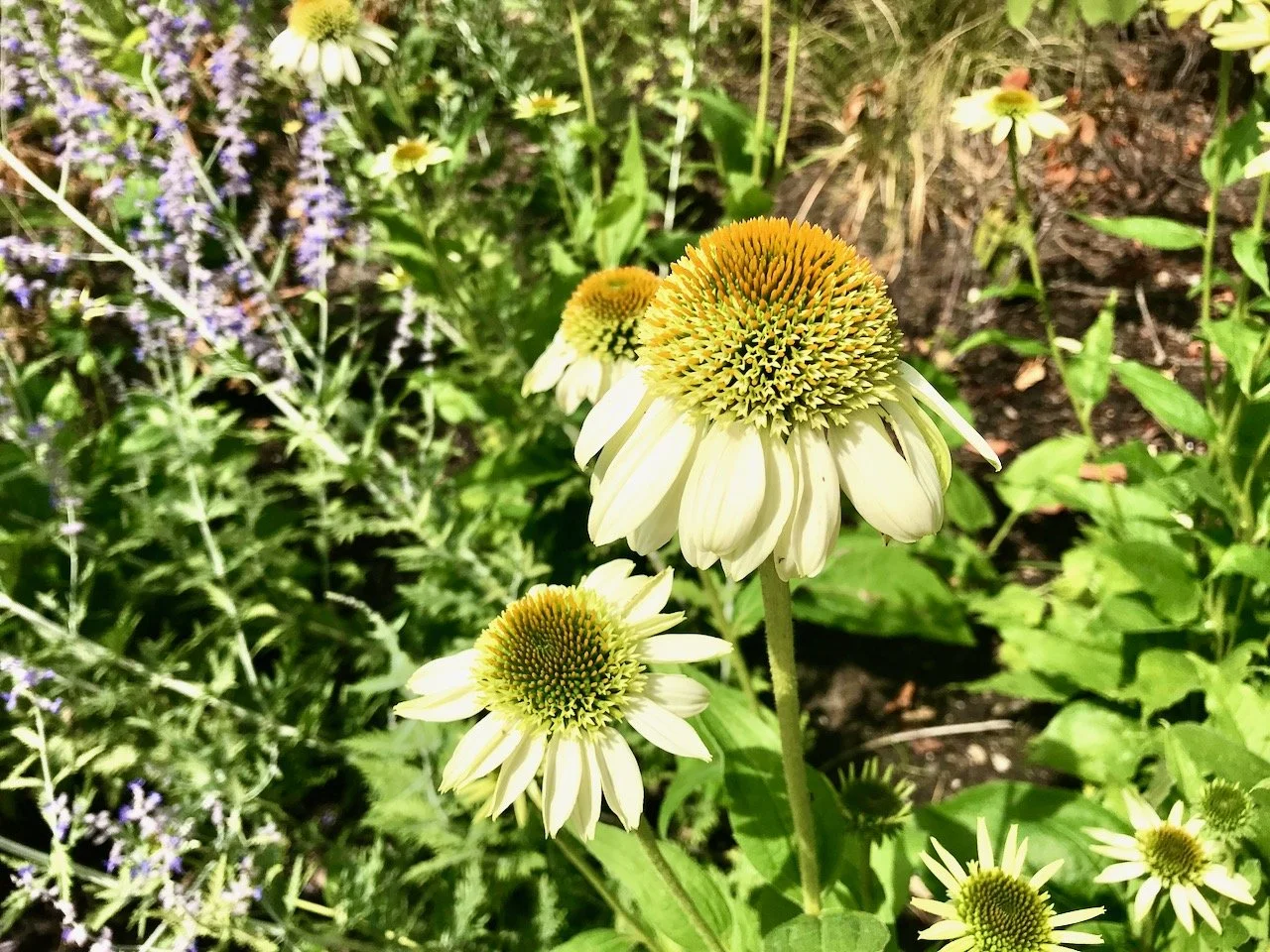 Heat, feet and my happy place