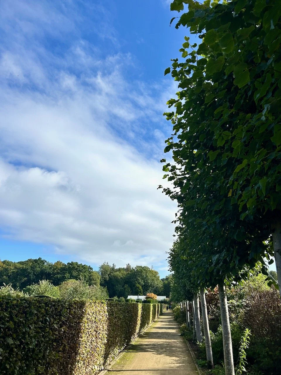 Looking along the Plantsman's Walk at Scampston Hall