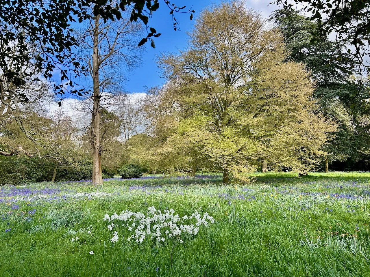 The grounds at Flintham Hall, Nottinghamshire