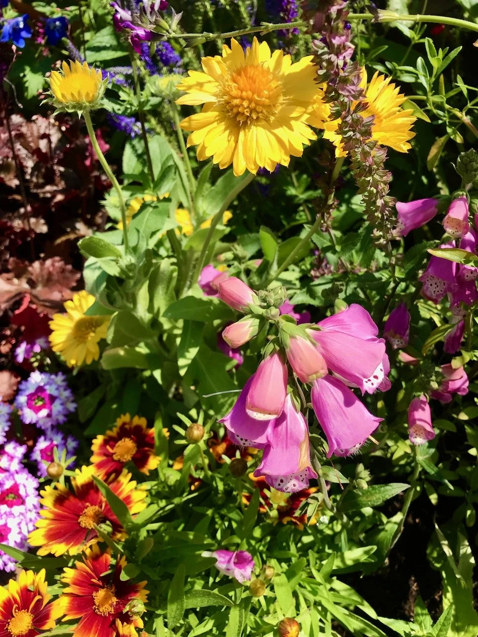 a closer look at the borders - yellows, pinks purples and so much colour
