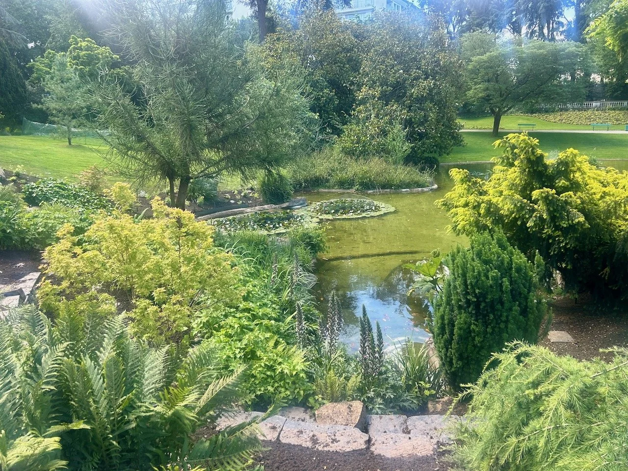 looking down to the lake on the other side of the footbridge