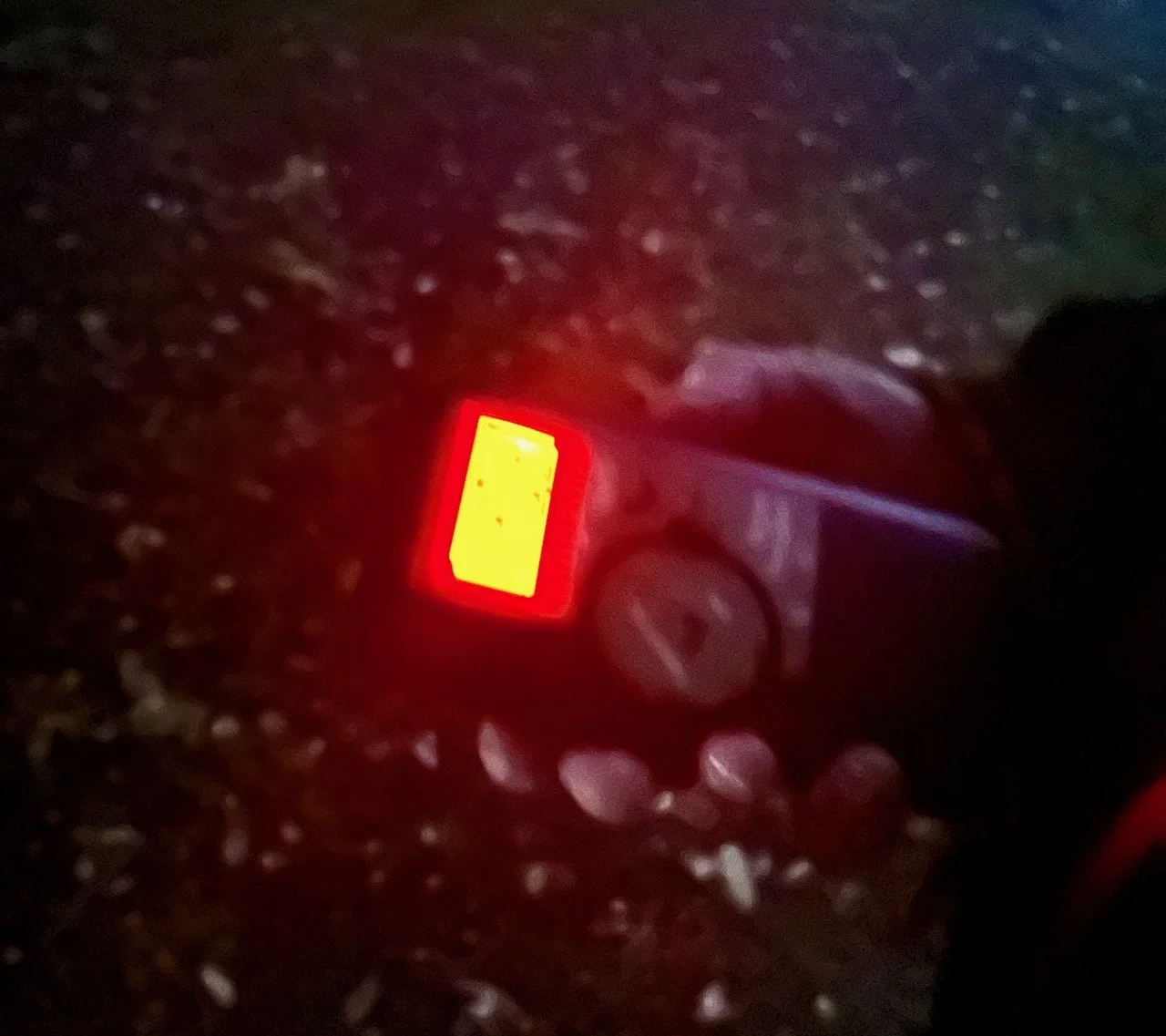 A fuzzy picture of the echolocator provided for our council organised bat walk