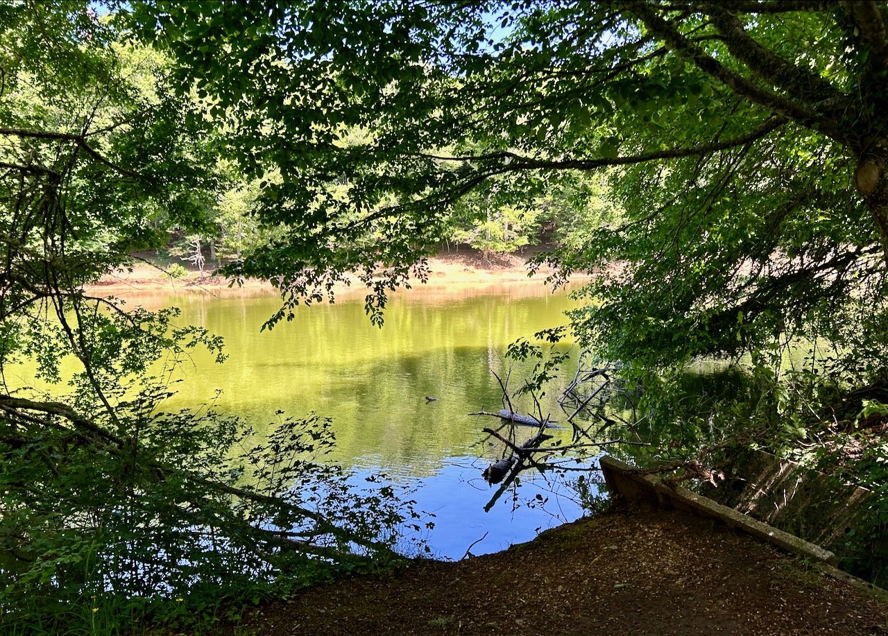 Looking through the trees to the lake - laghetto umbra