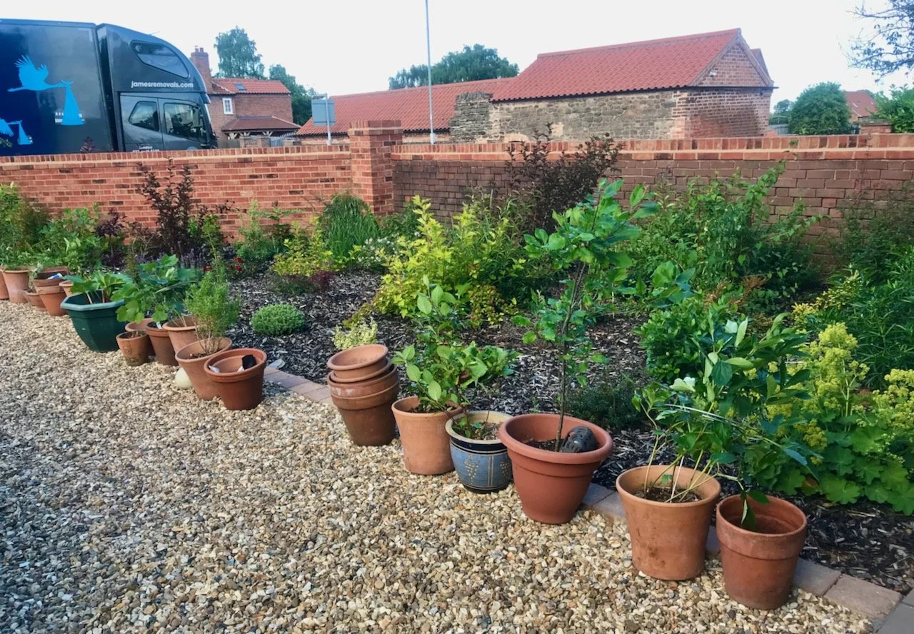 Move day - the plants and pots I brought with me were lined up in front of the planted area by the removals team, their van is parked in the background